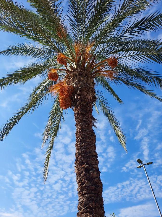 Larsens Suit Hotel Alanya Dış mekan fotoğraf